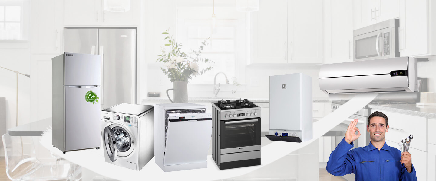 Tunceli Dominox Servisi